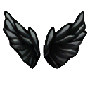 player Wings